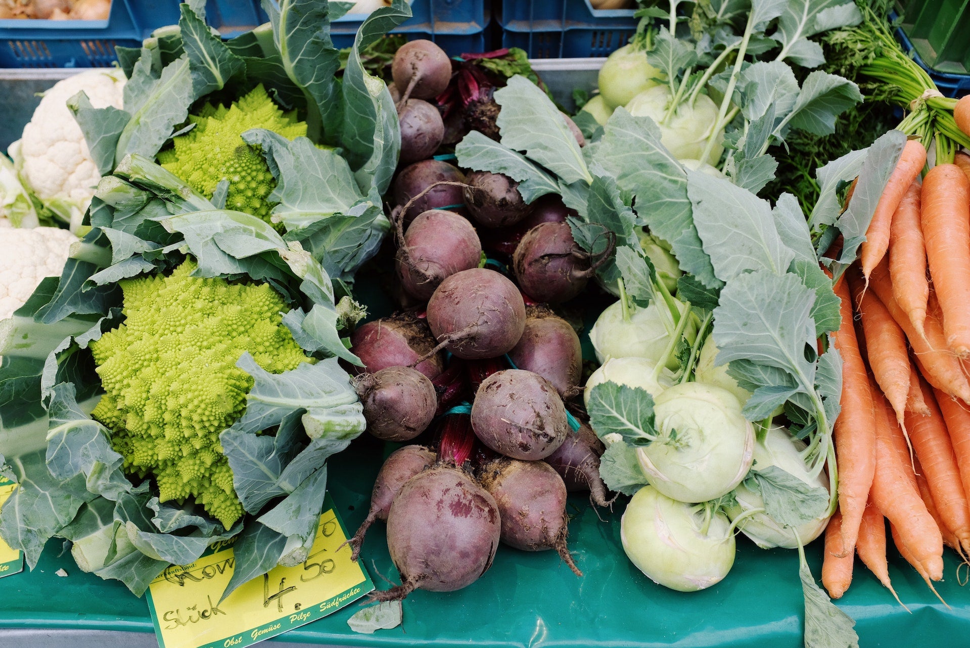 Gesundes Wintergemüse lecker zubereiten