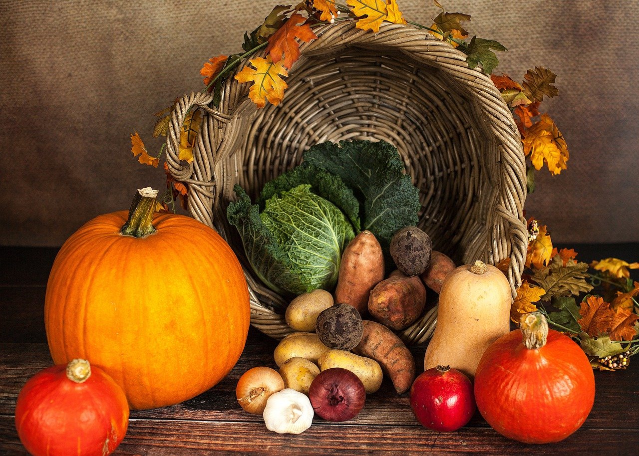 Herbstgemüse mit Mineralstoffpower