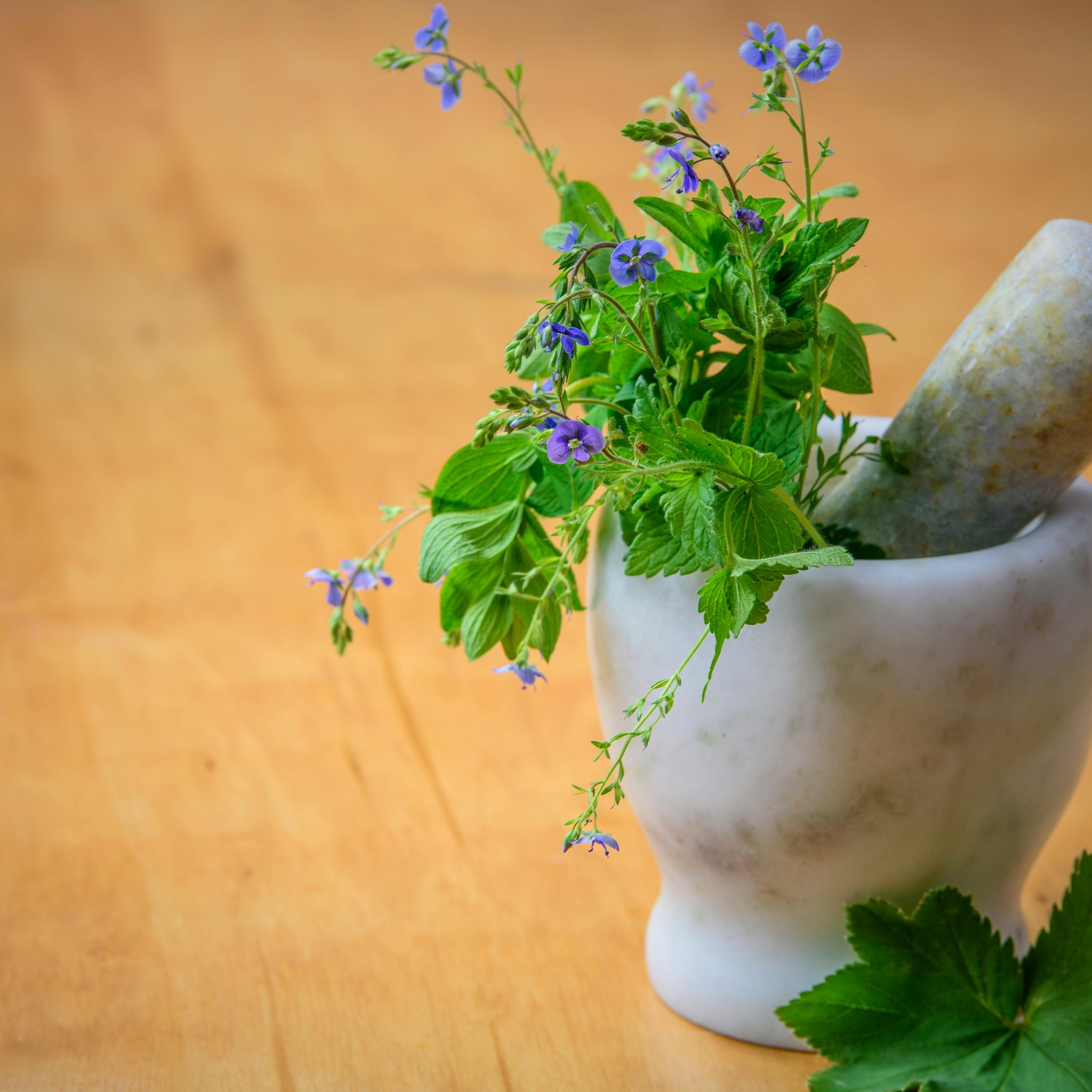 Warum alle ehemaligen B-Vitamine in ein Vitamin B Komplex gehören