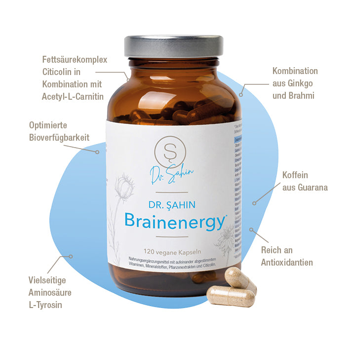 Dr. Şahin Brainenergy*